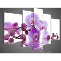 Modern Home Decor Beautiful Flower Painting (FL5-045)